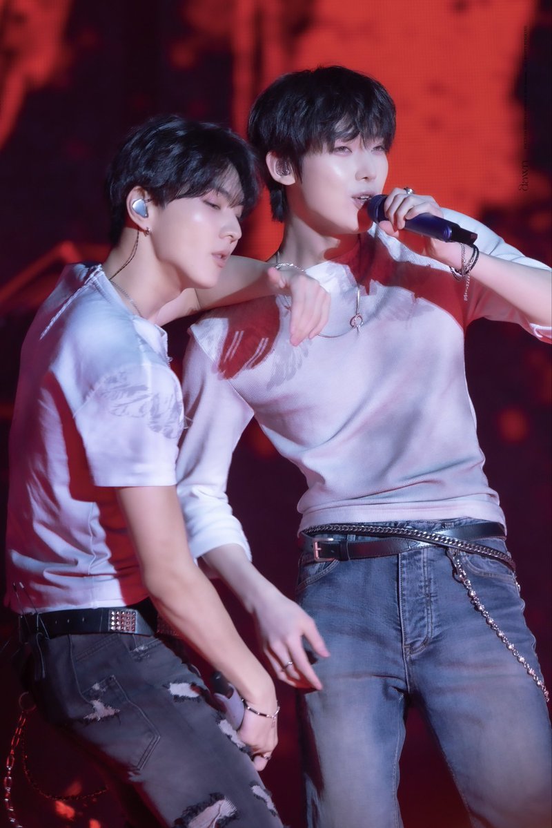 02fantasies's tweet photo. sunwon and their joint 'serving cunt' is on another level https://t.co/vXOE2QAArh