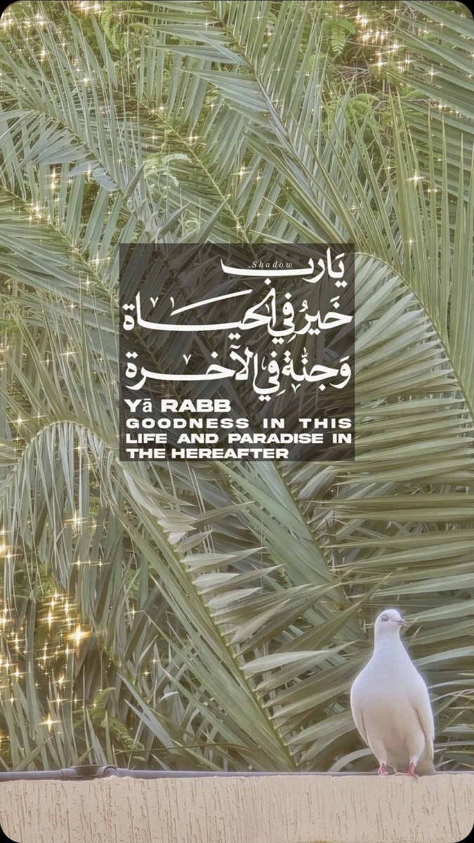 shadow8princess's tweet photo. 🌴🕊

`

اللهم آمين . . . https://t.co/WgJcKGhyrc