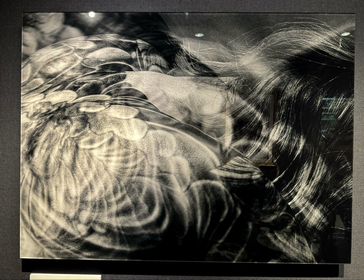 kazuminomura_'s tweet photo. 「蝶×CHIE」展、終了いたしました✨
多くのお客様にお越し頂き感謝しています。
これからもよろしくお願いいたします🙇‍♀️
#CHIE展 
ー蝶になって空を飛ぶー
新しく生まれ変わるための「さなぎ」の時間。
それは覚悟を決めるために必要な時間。 https://t.co/rpt3F6Km7d