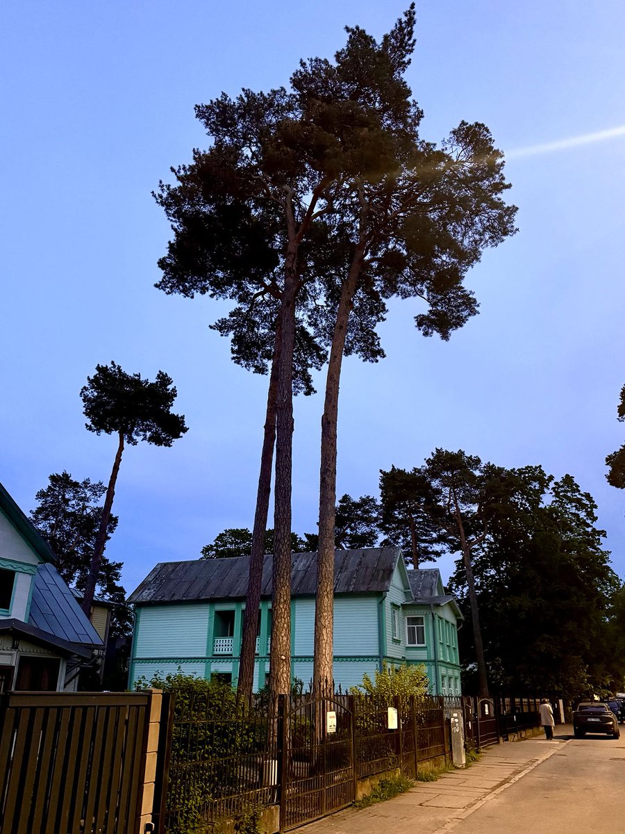 demoncharline's tweet photo. Architecture - Visit Jurmala - la Riviera balte en Lettonie

Jūrmala "La Riviera Balte". L'élément le plus distinctif est sans conteste son magnifique patrimoine de maisons en bois, dont plus de 4000 ont été recensées.

📸 Album ➥ https://t.co/JpTJ71YNHL https://t.co/pLd35irLAO