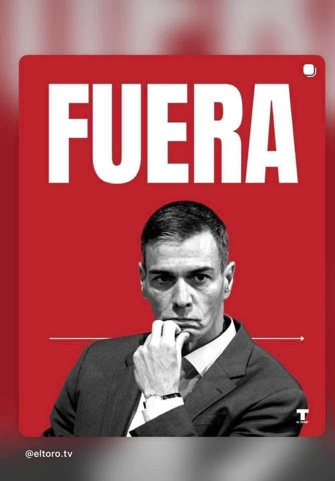 el_tomasso's tweet photo. @roaldcs https://t.co/lWypzVjjCZ