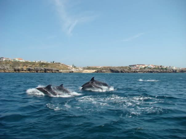 josemlou's tweet photo. Peniche why not? https://t.co/r1SX1Nzmpy