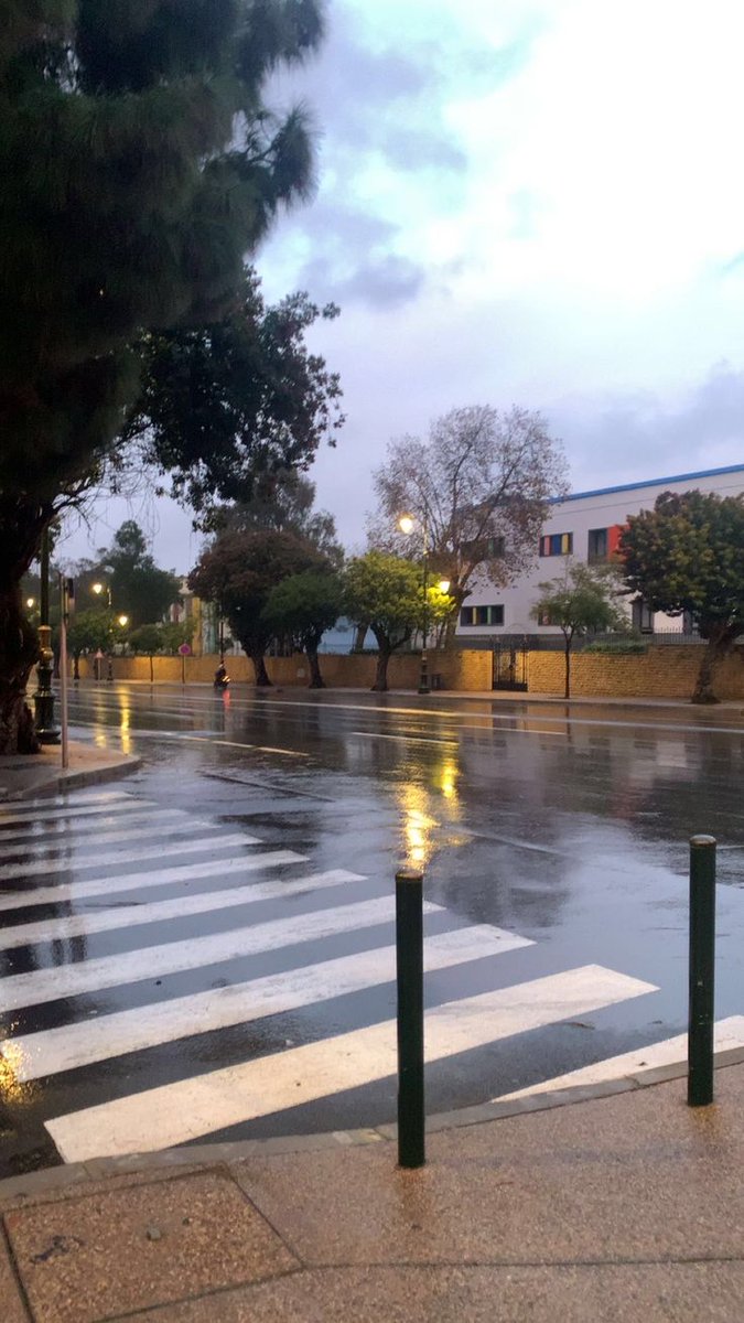 mossandlace_'s tweet photo. the streets after a rain https://t.co/tT0VkVUkxX