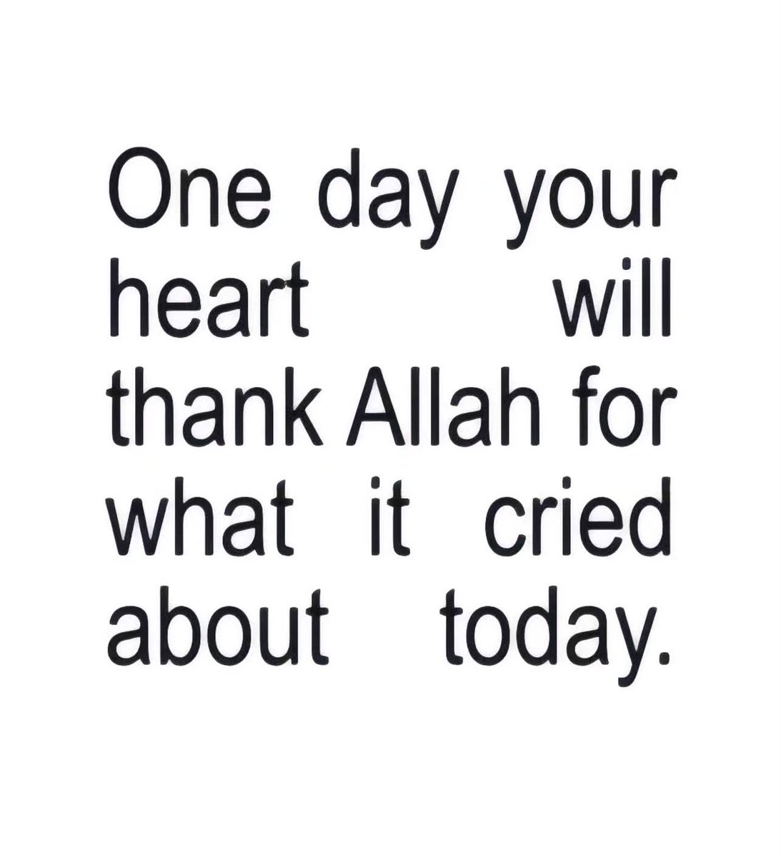 _abnwb's tweet photo. https://t.co/FCr307Fb3U