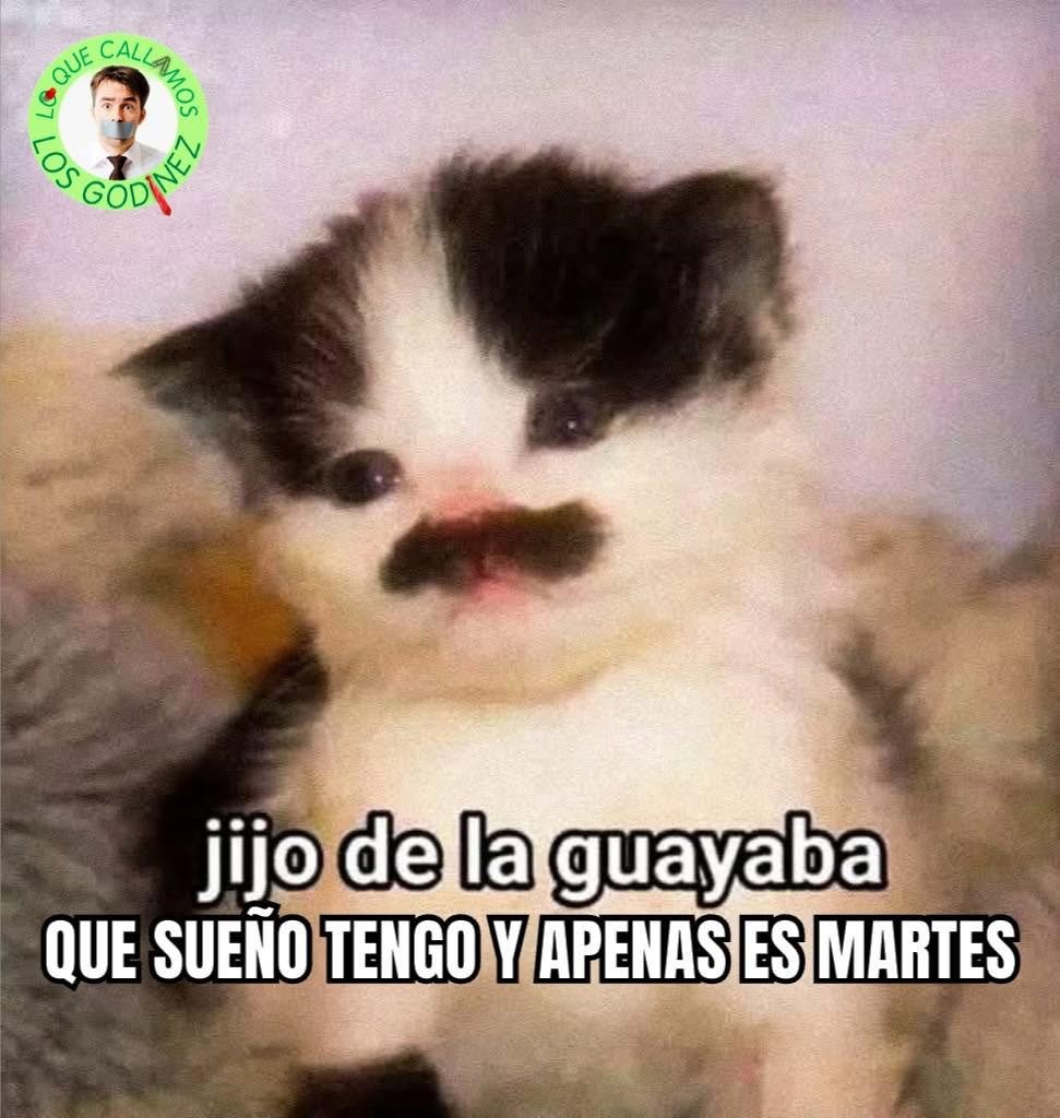 manuel_alamilla's tweet photo. 😉😉😉 https://t.co/JfBGgSyqQ4