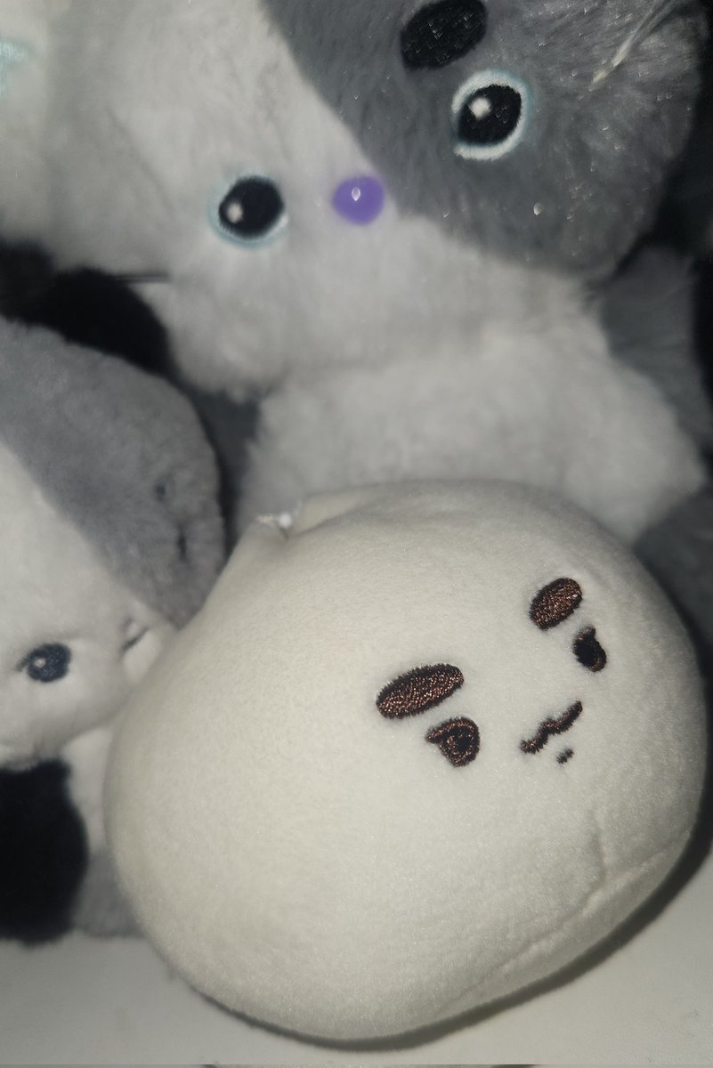 eveble_'s tweet photo. 만둥수 입주 신고 완료 했습니다!! 진짜 말랑말랑해서 말랑이 사러 동묘 안가도 될듯요 너 주인 닮아서 많이 커엽구나♡
#만둥수가_데굴데굴_굴러옵니다 https://t.co/nifGKznlux
