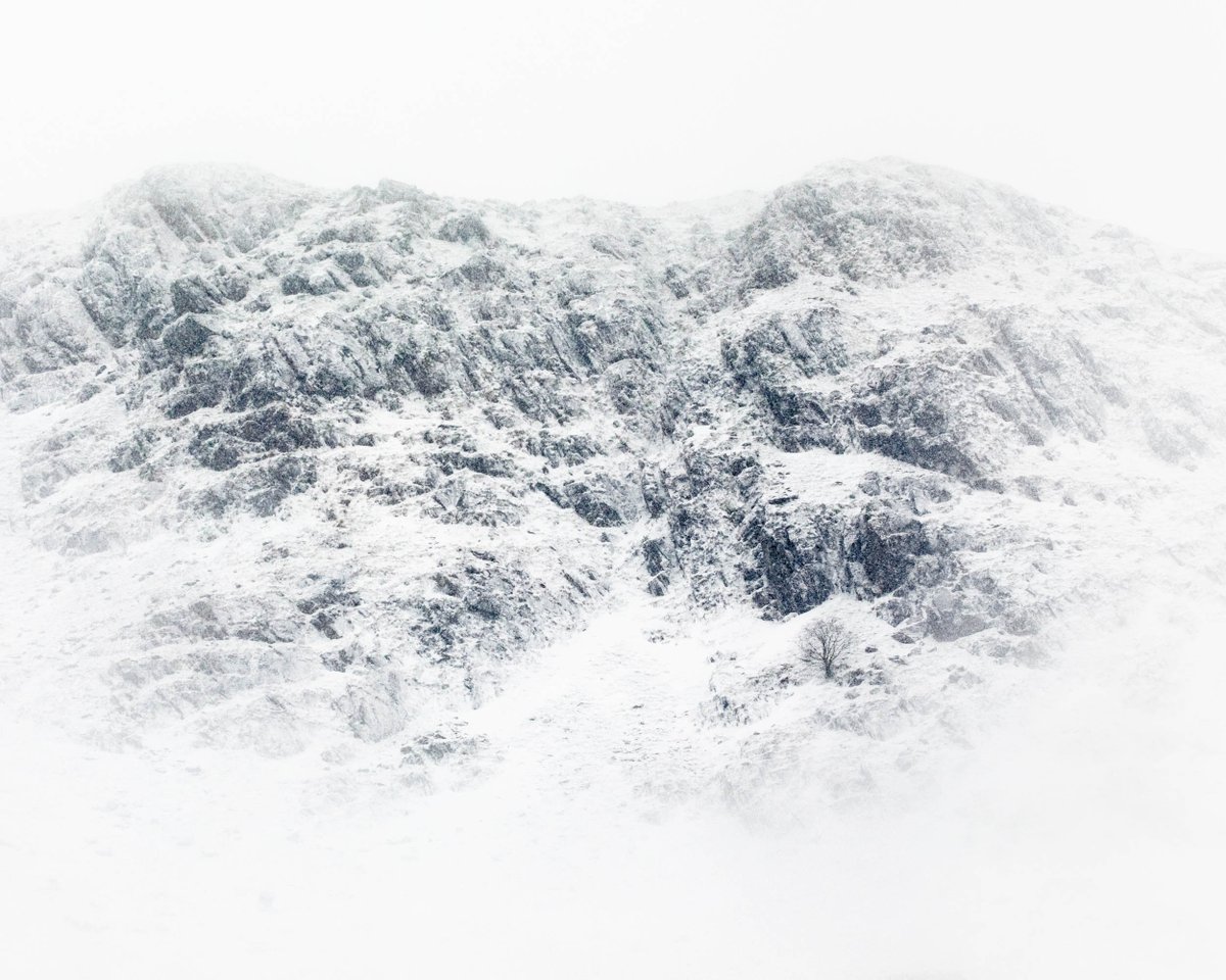 AdamKarnacz's tweet photo. Adam framed this snowy mountainside as the weather closed in, letting the dark rock and lone tree hold their place in all that white. A quiet study in texture, scale and winter light. https://t.co/lYKv9Pd4ir