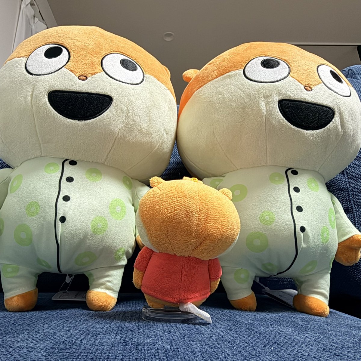 gokipanda's tweet photo. お姉さんが優しかったんだぁ😭ありがとうございました😭

🐹ぼくのお家にようこそ🏠 https://t.co/yFso47WE2O