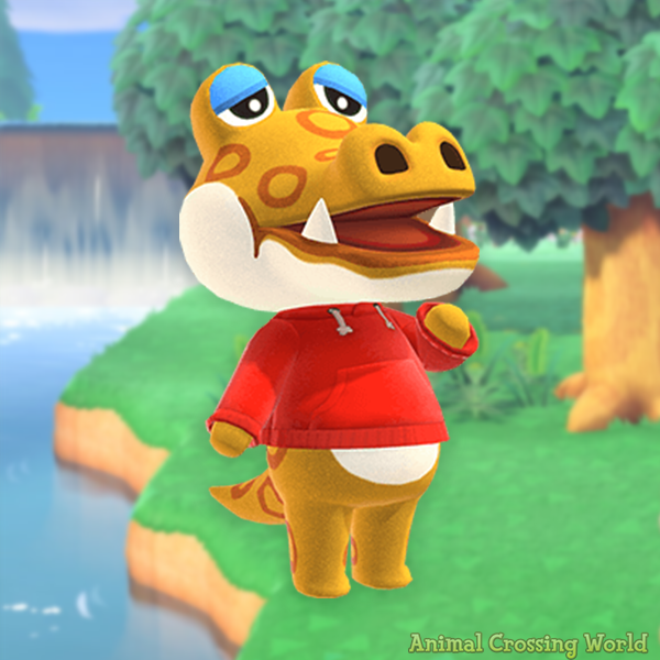 Animal Crossing World ๐๏ธ tweet media