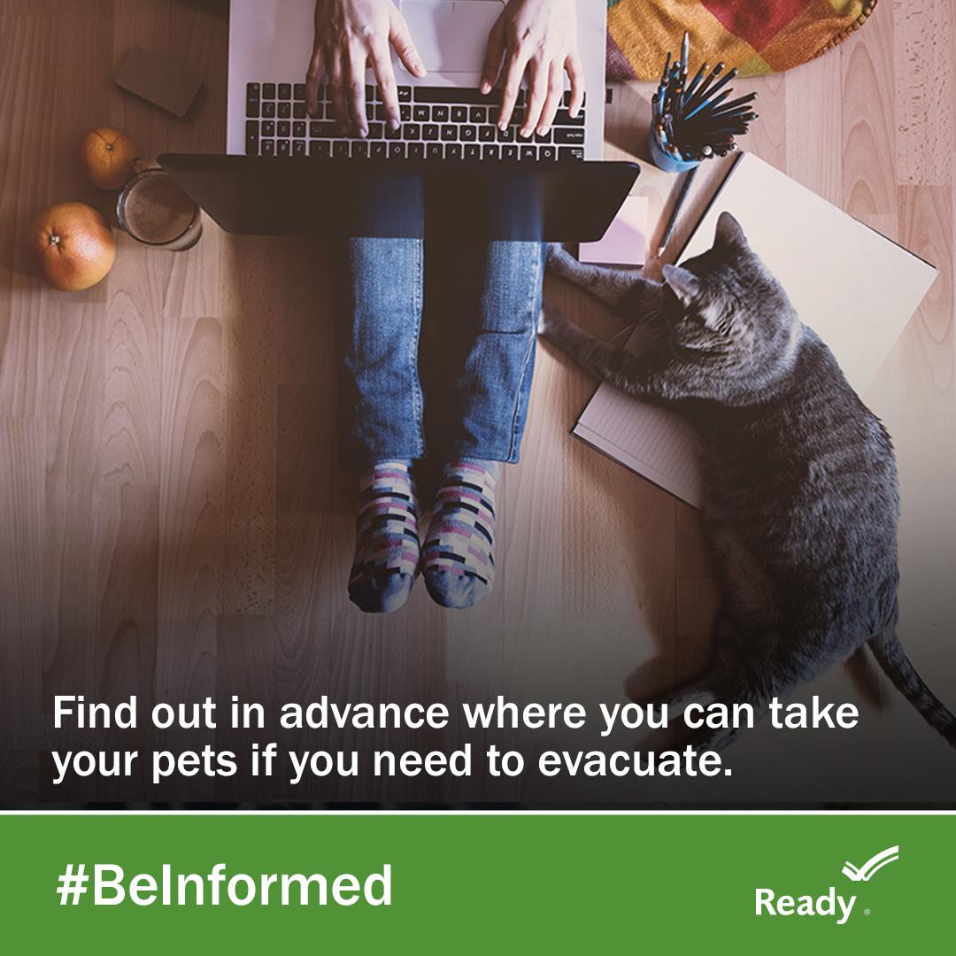 OakGovEM's tweet photo. Make a list & check it twice. List the address & number of all the places you can take your pet in an emergency. #PetPreparedness #MakeAPlan #OaklandCounty https://t.co/B7Jjs2JcRa