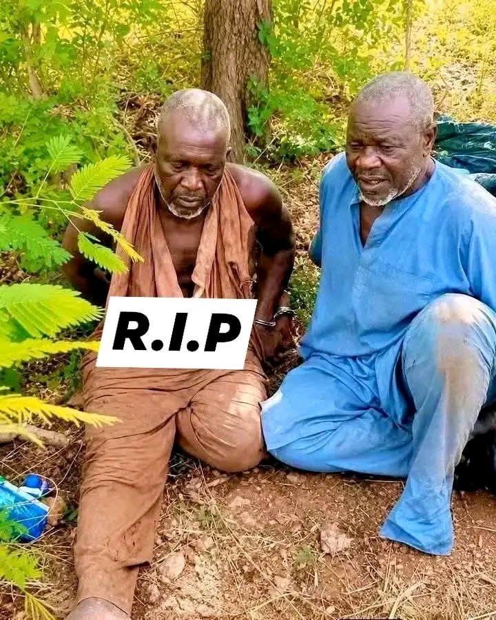 DanKatsina50's tweet photo. SAD UPDATE: A close associate and friend of the APC Chairman of Koko/Besse LGA, Kebbi State, who was abducted alongside his friend, has been confirmed dead while in captivity.

May Almighty Allah forgive him, have mercy upon his soul, and accept his martyrdom. Prayers are also with his friends and all remaining captives, with hopes for their safe release.

The incident show the continued security challenges facing communities in the region. As families mourn yet another tragic loss, many continue to await justice and the safe return of their loved ones.

May the deceased rest in eternal peace and may comfort find those he left behind.