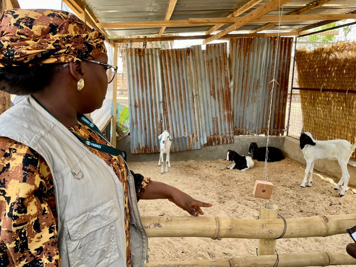 nrcs_ng's tweet photo. With support from @OCHANigeria, Nigerian Red Cross Society and its implementing partners (@MalteserInt, @fourcinigeria @FREE_NG_ @Chabash held a joint monitoring visit was held in Molai and Ajilari (Jere LGA).
#CREAM #Inclusiveness #Accountability https://t.co/g8bNWC988z