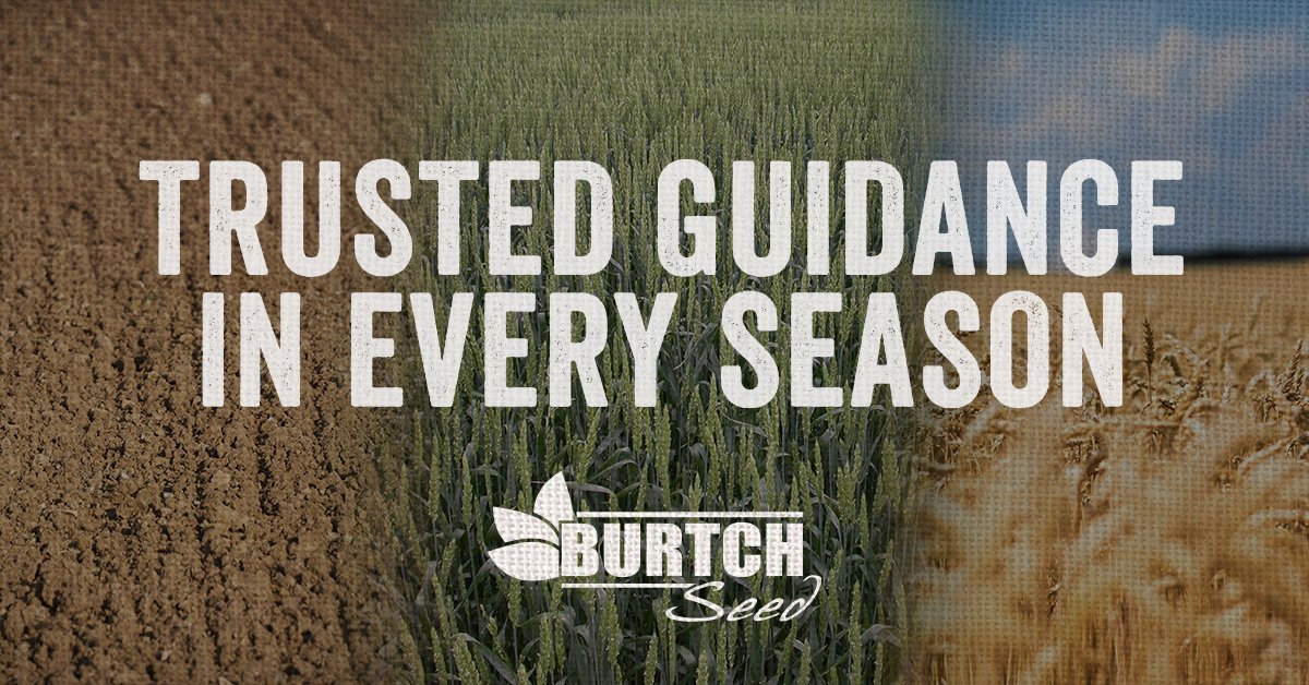 BurtchSeed's tweet photo. From start to finish, our team is always here for you. https://t.co/M33z0GuUsP