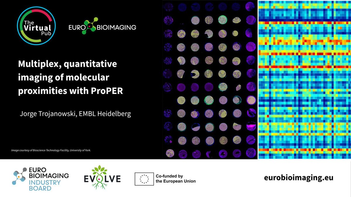 EuroBioImaging's tweet photo. At the Special Edition #VirtualPub on #SpatialTranscriptomics, Jorge Trojanowski, @embl, will present ProPER - a new approach to detect molecular proximity without ligation.
🗓️ Friday, June 12, 1 pm CEST
Join us!
https://t.co/y45oOekqPN https://t.co/HAqP77wnji
