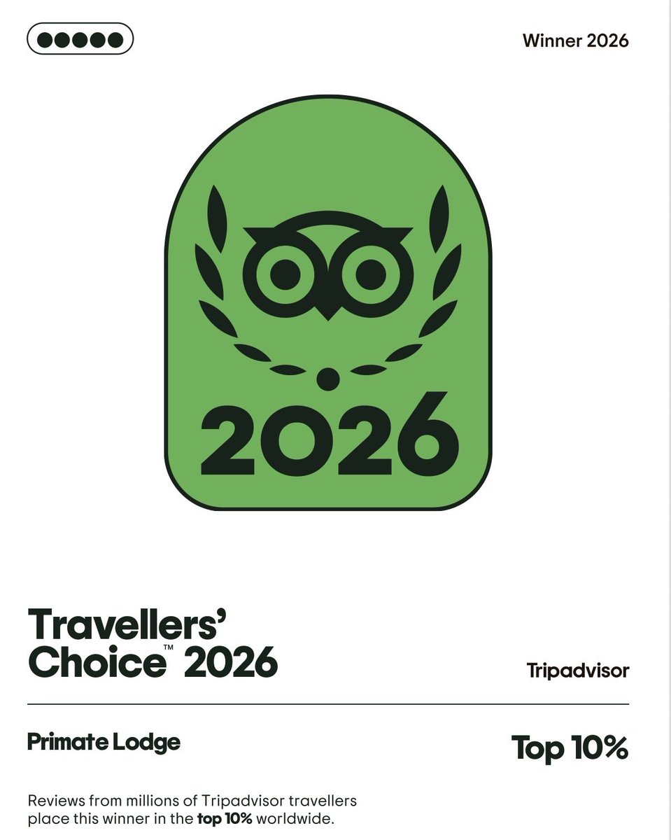 wekesa_amos's tweet photo. Breaking News 

3 of our lodges in uganda have been named amongst the 10% hotels in terms of service worldwide by  a world renown TRIPADVISOR! 

Ofcourse, I thank our teams and customers over the years and all our well wishers! 

Even our competitors, they help us improve! https://t.co/rm7Bte1NWp