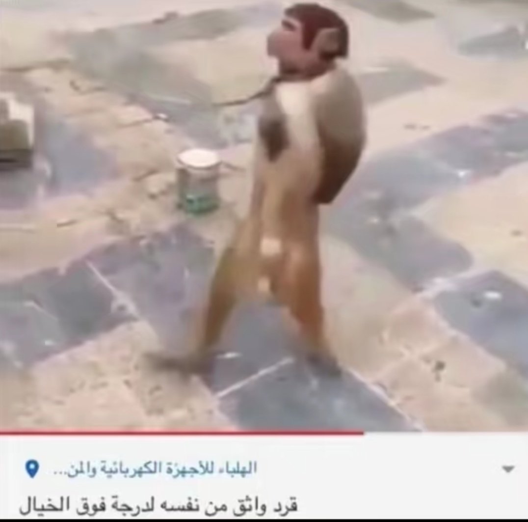 MOGMedical's tweet photo. اليوم في الاوسكي الدكتور فتح الباب عشان يتهوى ، رحت انا تحنكت وتوقعته يختبرتي على جزئية الprivacy وقفلته. https://t.co/r1nGXSxAYx