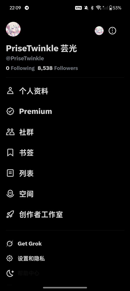 PriseTwinkle 芸光 tweet media