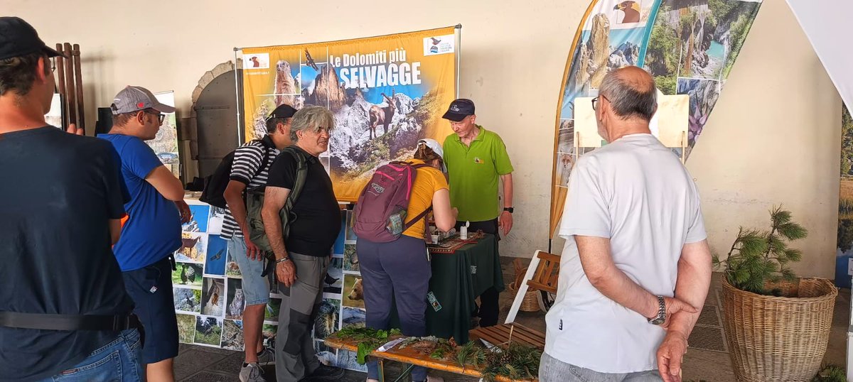 parcoDF's tweet photo. Il nostro bellissimo stand a Venzone durante la festa dei Parchi

Ph. Laura Fagioli 

#stand #venzone https://t.co/JEgLSJlWJS