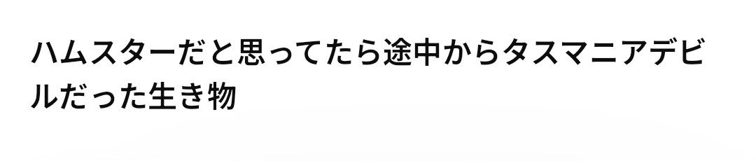Ramu29_devil's tweet photo. チャッピーにすらも馬鹿にされてる？？？
らむっていったい……… https://t.co/3lizxNnhJG