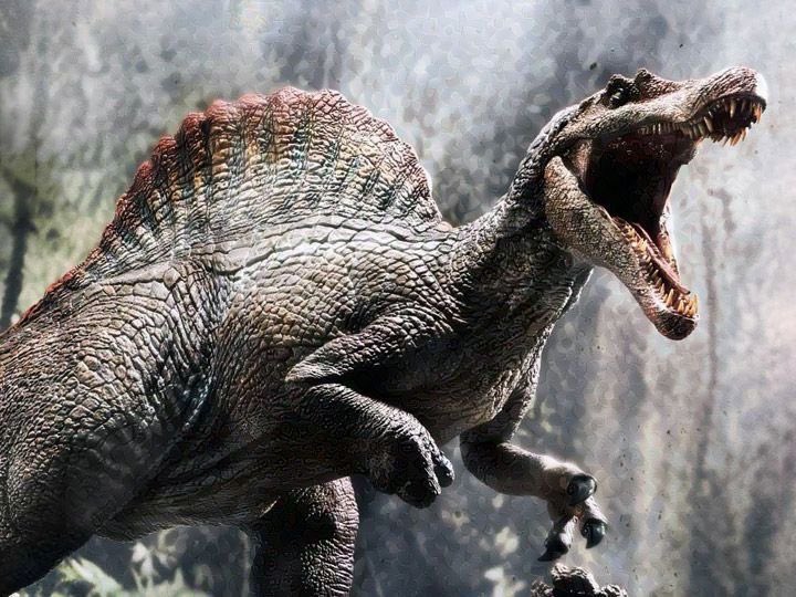 Panthera_PD08's tweet photo. Spinosauruses in paleo-medias. https://t.co/zJgnxM914R