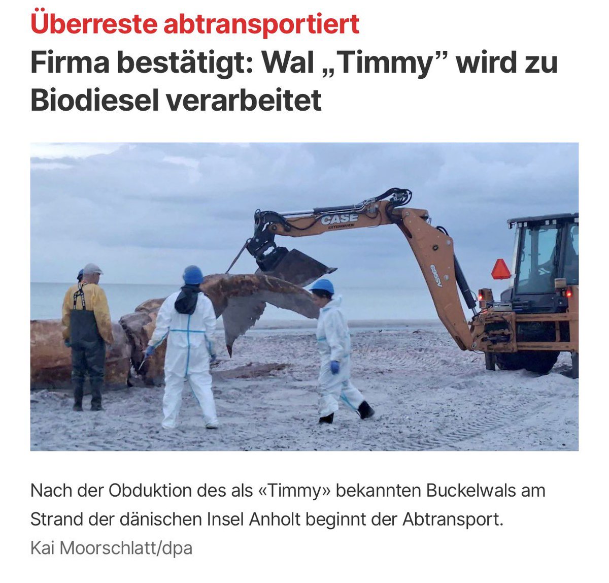 aphrodithe's tweet photo. Dänemark ist STARK vom Meeresspiegelanstieg aufgrund des Klimawandels bedroht.
GUT zu wissen!
Wale sind Klimaschützer (lebend oder tot), keine Biodieselprodukte! https://t.co/qpwxPPFUnq
