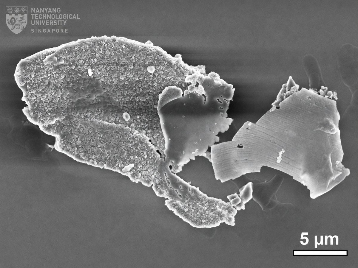 fuelcellsworks's tweet photo. A new Janus photocatalyst developed at NTU boosts solar #hydrogenproduction by up to 14x compared to conventional photocatalysts. A major step forward for #cleanhydrogen generation.
#Hydrogen #GreenHydrogen #CleanEnergy #EnergyInnovation
https://t.co/z0mAaYsIiM https://t.co/OF6cfagAIO