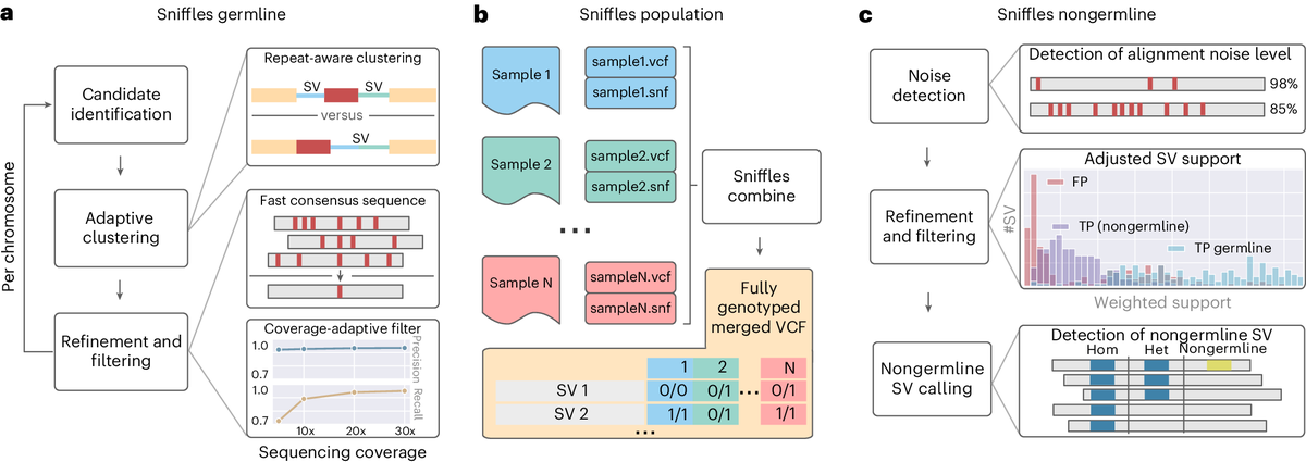 tangming2005's tweet photo. Nature Protocols: Structural variant calling using Sniffles2 https://t.co/MzO6YOu5u9 https://t.co/dphkt7dBIt