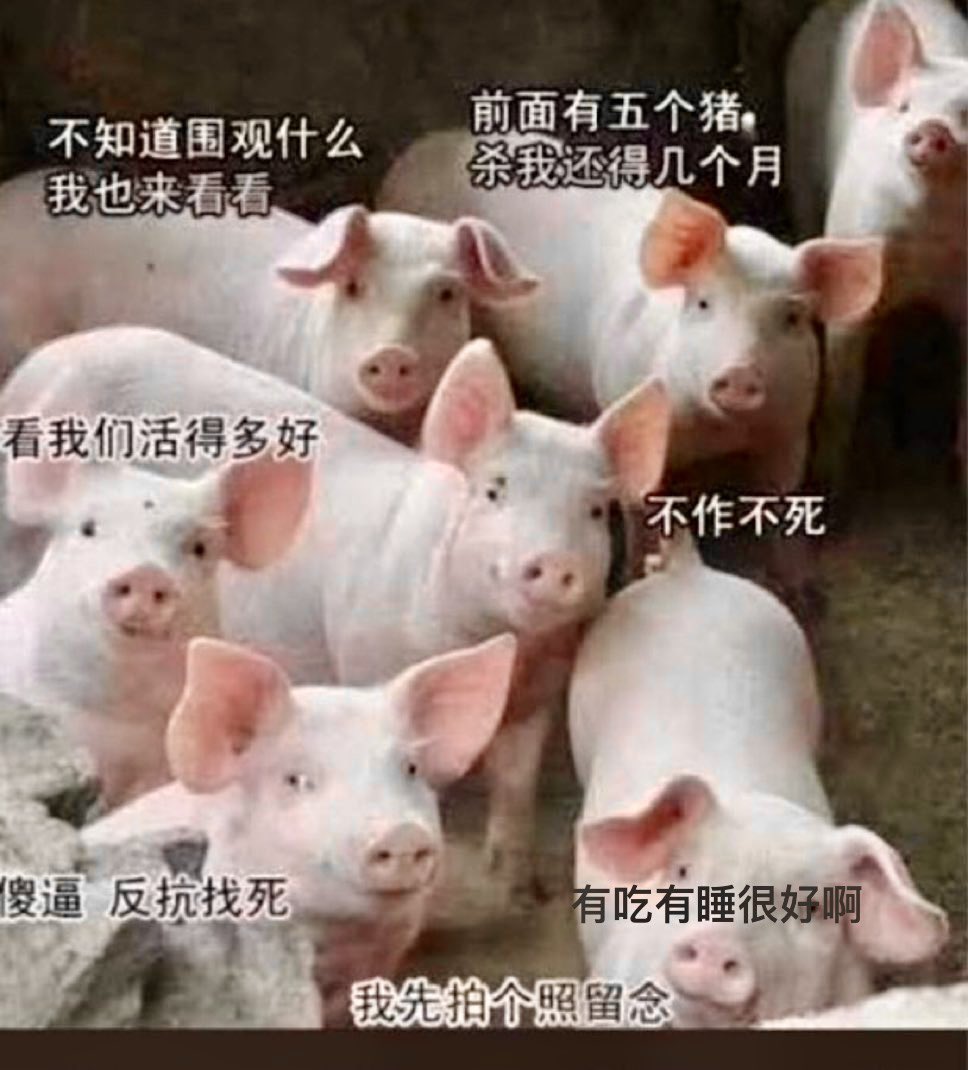 hexu513's tweet photo. 它把人民变成猪，好方便它宰杀、利用。 https://t.co/C47BOYUDo8