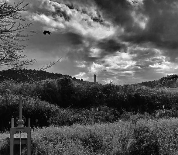 rtsmts's tweet photo. A highly evolved crow flying away from the Monolith's shadow.
#Monolith #crow #nature https://t.co/JWjYnqWeGk
