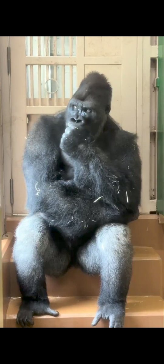WanWkd89868's tweet photo. @RT_com A man who thinks all the time has nothing more to think about but think. 
  ~Gorileo the Philosopher. https://t.co/Q0JBH1pm2m