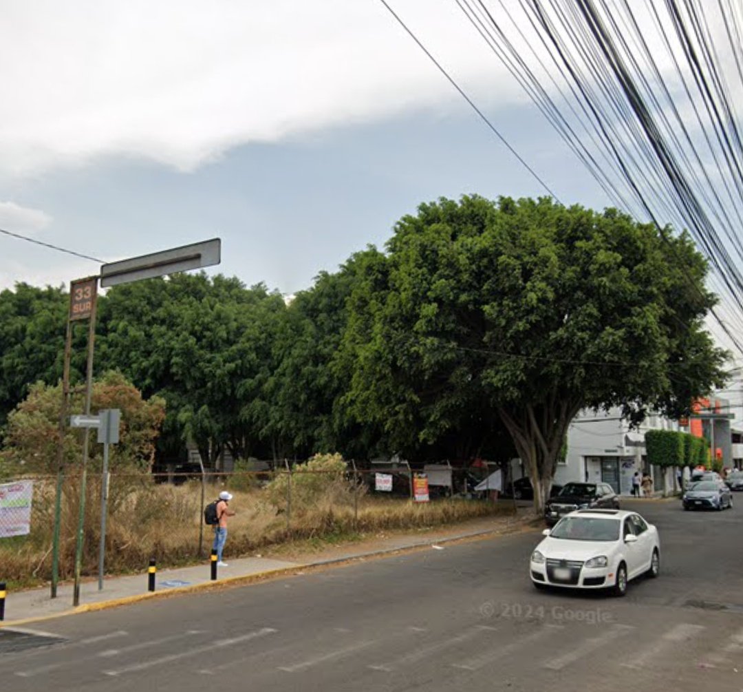 Hechizero_38's tweet photo. @JIvanHerrera_ Aquí también te debes acordar de como ayudaste a esta constructora para joder estos hermosos árboles que estaban en la Ave. 35 poniente y que según ustedes CFE autorizo esta poda (joda)...¿Cuántos casos más quieres que saquemos a la luz? Necesitamos respuestas YA 👊
@pepechedrauimx @GuardabosqueUrb