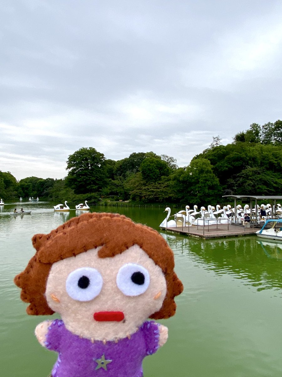 de_Rope_'s tweet photo. 素敵なお茶会☕️お腹がいっぱい💨近くの公園緑がいっぱい🌲ボートもいっぱい🦢🛶ヒーちゃまの瞳孔全開👀ｲｪｱ https://t.co/90xnU7dO72