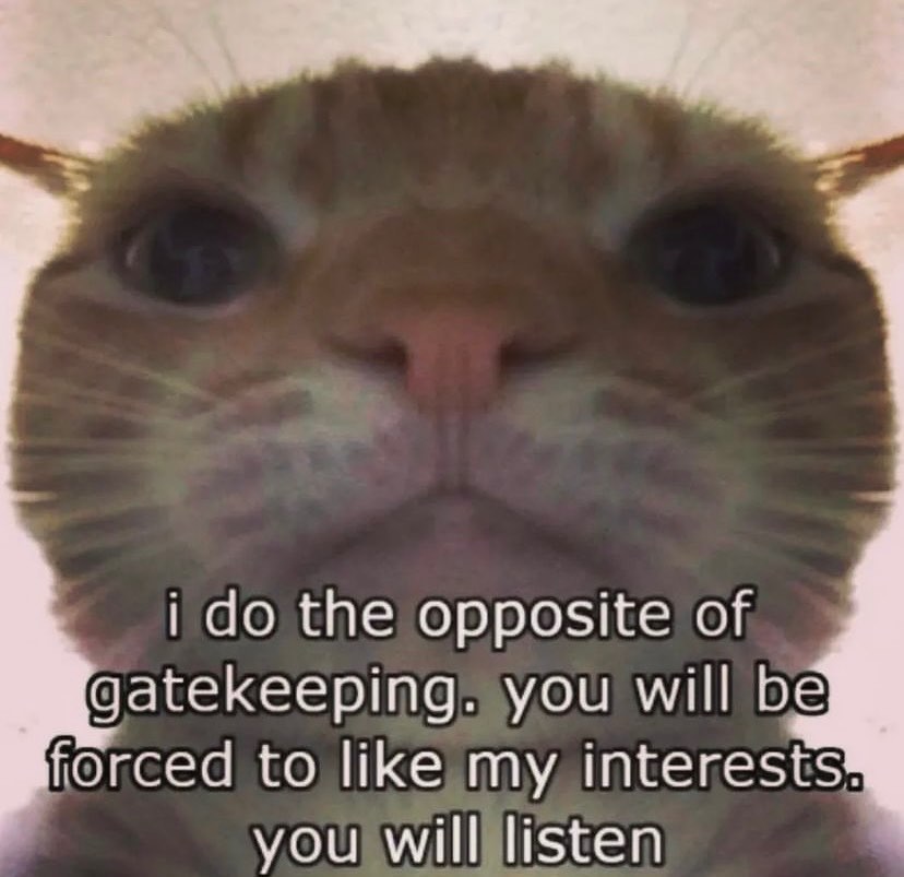 Punch Cat tweet media