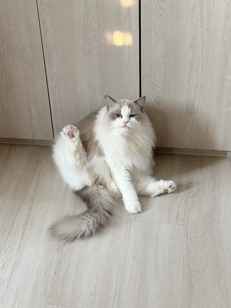 Bonusiie's tweet photo. นี่แหนะ https://t.co/A4K37rV5Kq