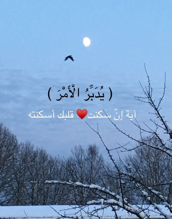 omabadei's tweet photo. https://t.co/WyLmqBeL02
