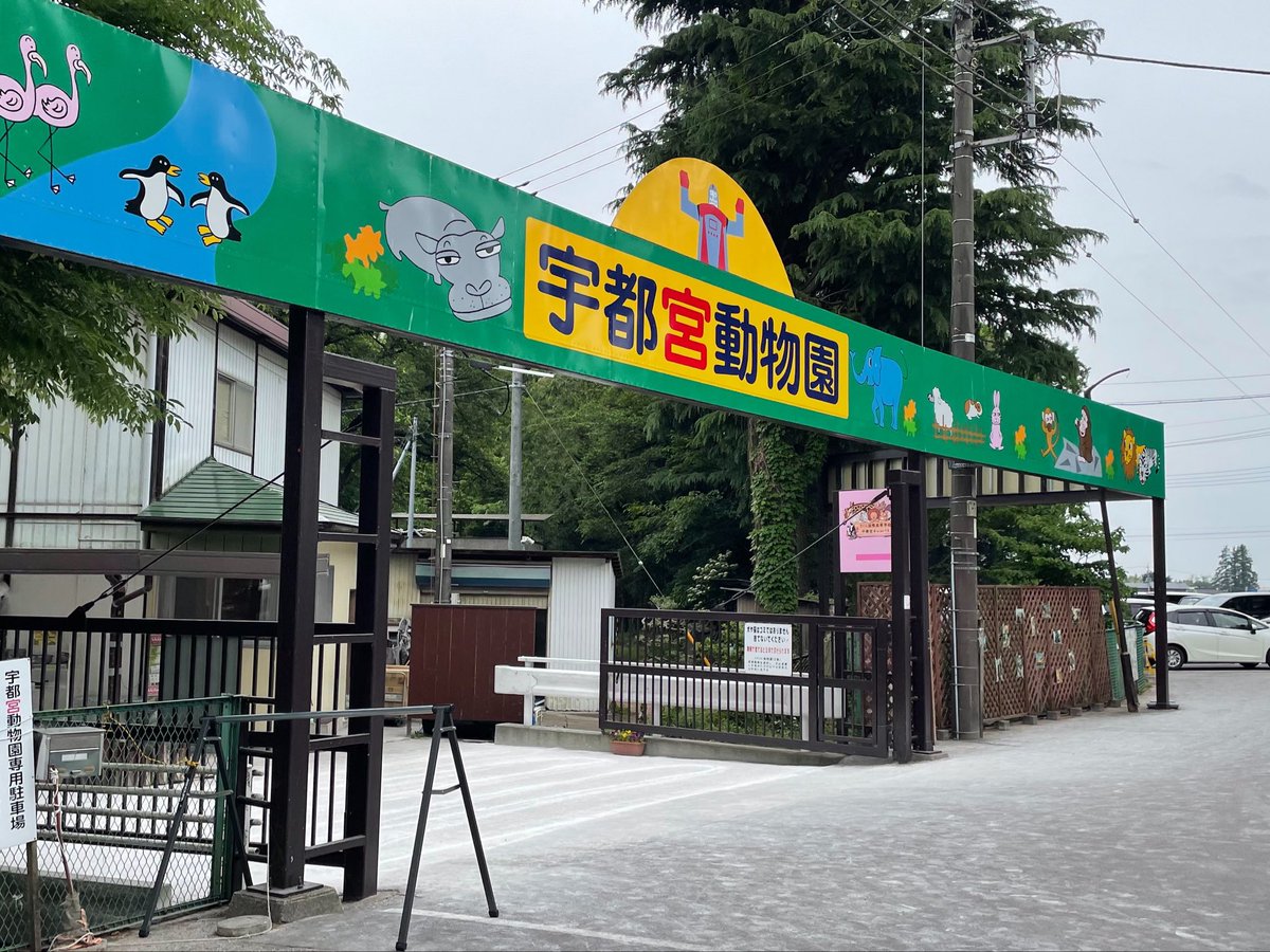 zoo_biker's tweet photo. 【朗報】
宇都宮動物園、麻酔銃でクマ捕獲に大活躍

中心街にクマが出没し小中学校も臨時休校となる中、普段ゾウやキリンのお世話をしている飼育員さんが超ファインプレー✨

民間の小さな動物園だけど東日本大震災の時は他の動物園を助けに行ったり、ここのスタッフさんは超熱いよ

#宇都宮動物園 https://t.co/vZUXViowPB