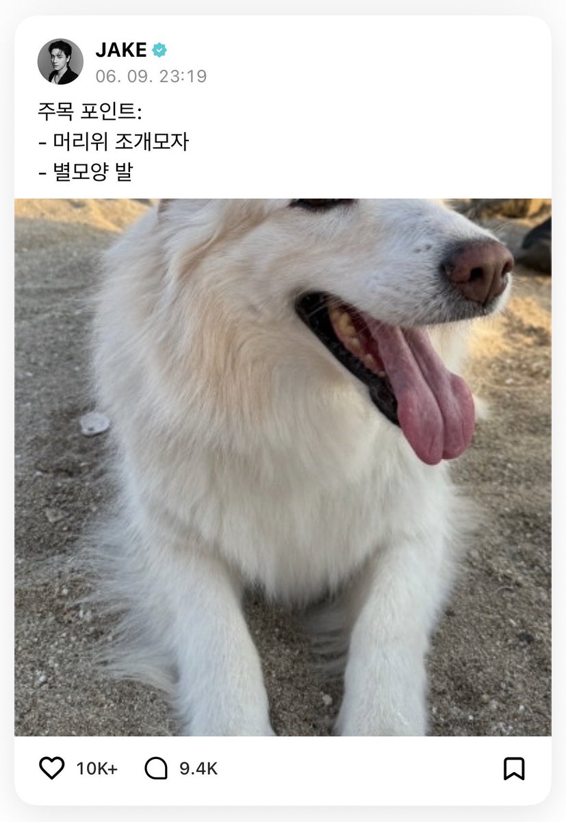 nmrzke's tweet photo. 아 어지러... 남자가 뭐 이래 https://t.co/KdlTpTcnP7