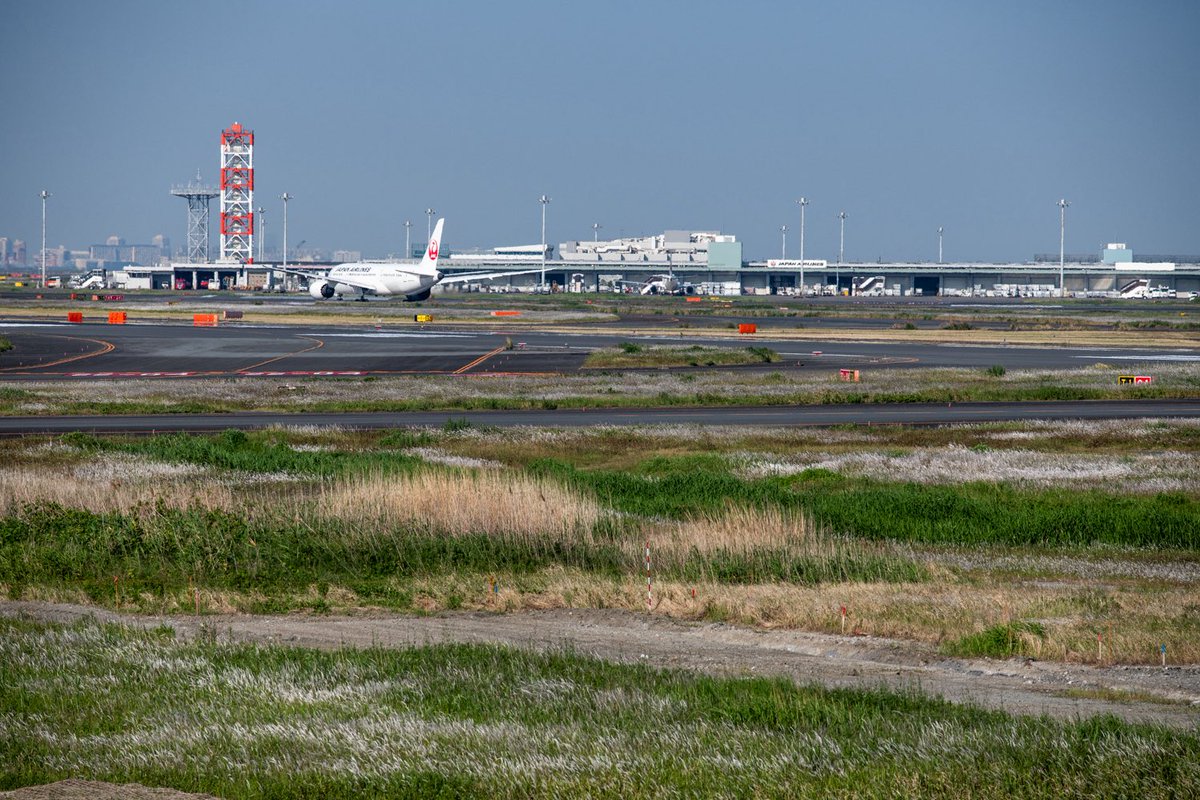 k_767t's tweet photo. チョット荒涼感
#羽田空港 https://t.co/0VYVuuWiqI
