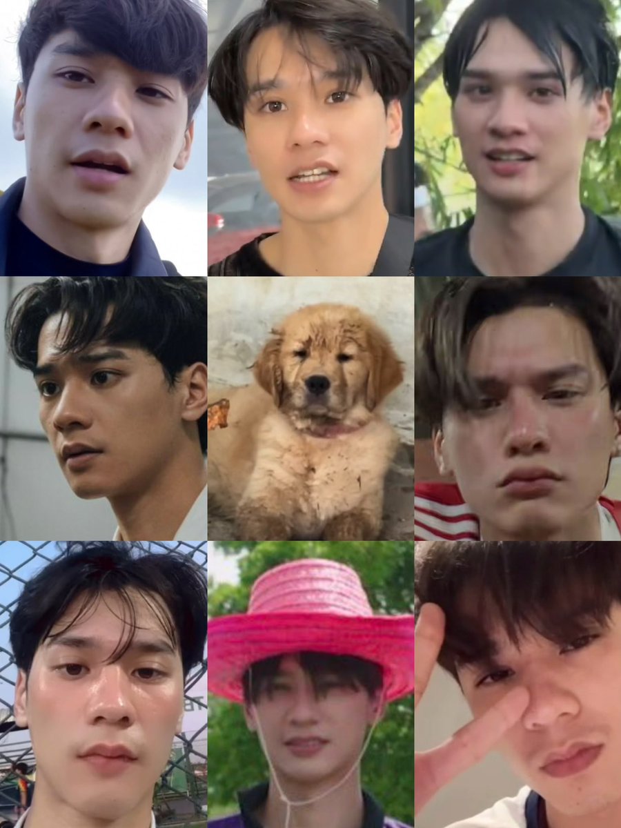 mynymild_'s tweet photo. หะยิดเก่าๆ หะยิดมอมๆ  🐶🥺

ใครมีรูปหะยิดเก่าๆมอมแมมๆ อีกมั้ยฮะ บริจาคนุ้ทีได้ม้าย https://t.co/JQNoPhWAFX