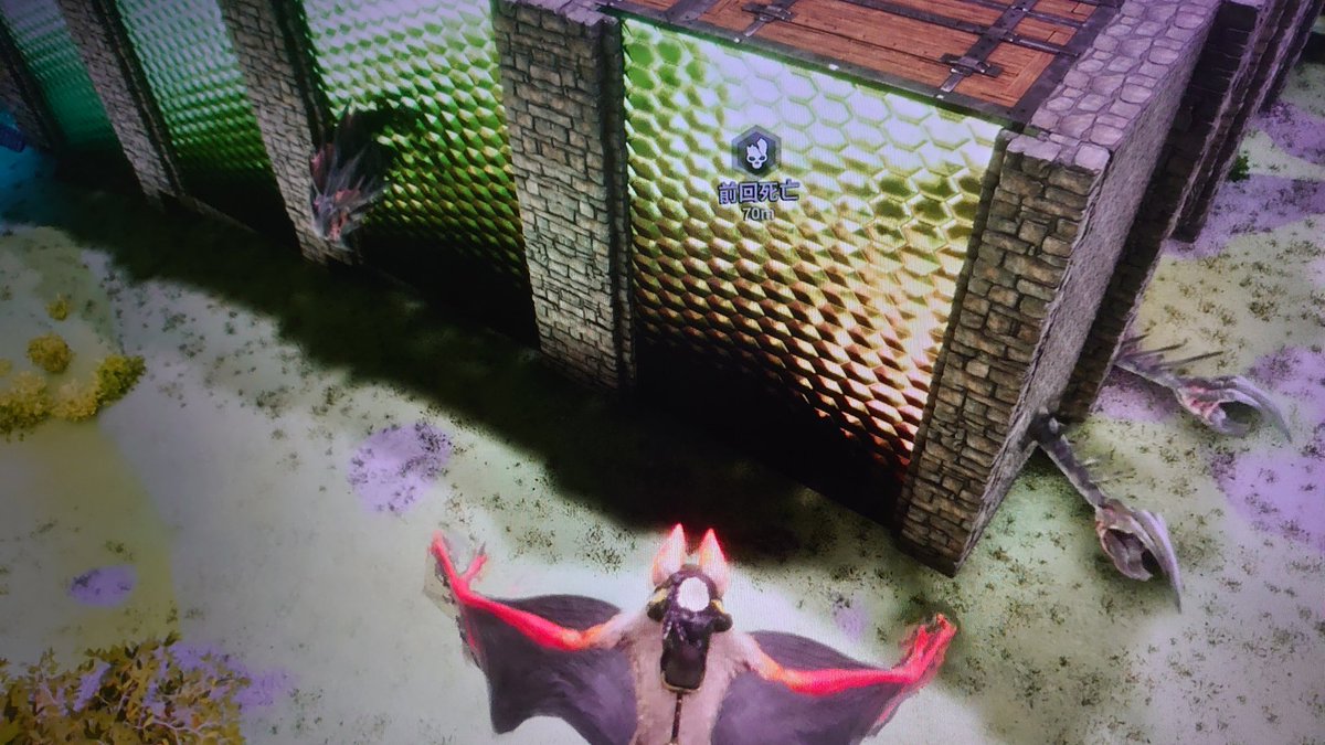 ingiramde's tweet photo. 既に6匹ストックで飽和してきてるけどまだまだ探しちゃうもんね https://t.co/u2b9TY7IPa