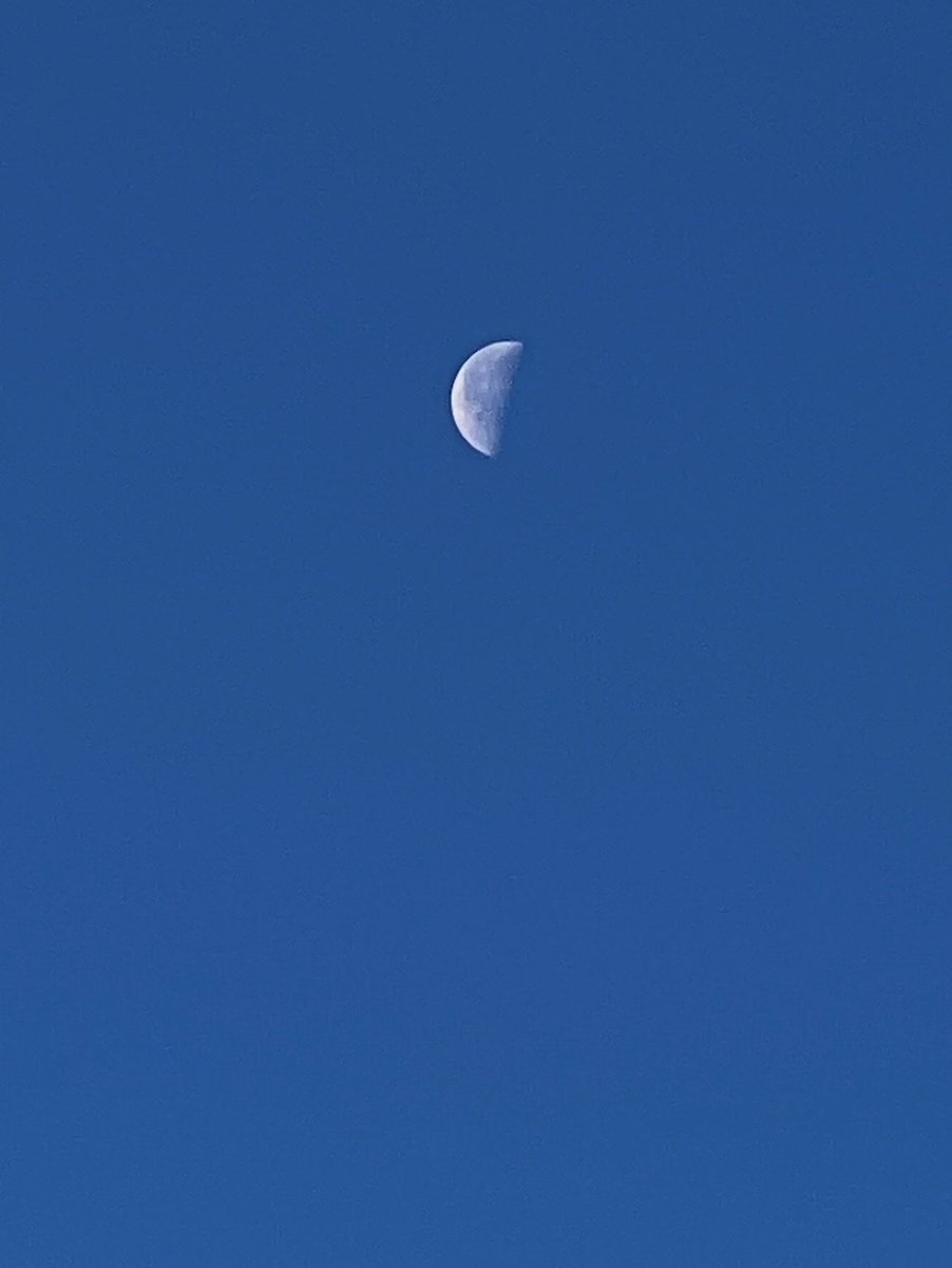 Chadjk99's tweet photo. Third Quarter Moon
by Sudhir Sharma, Stormville, NY https://t.co/DBKa3pucsy