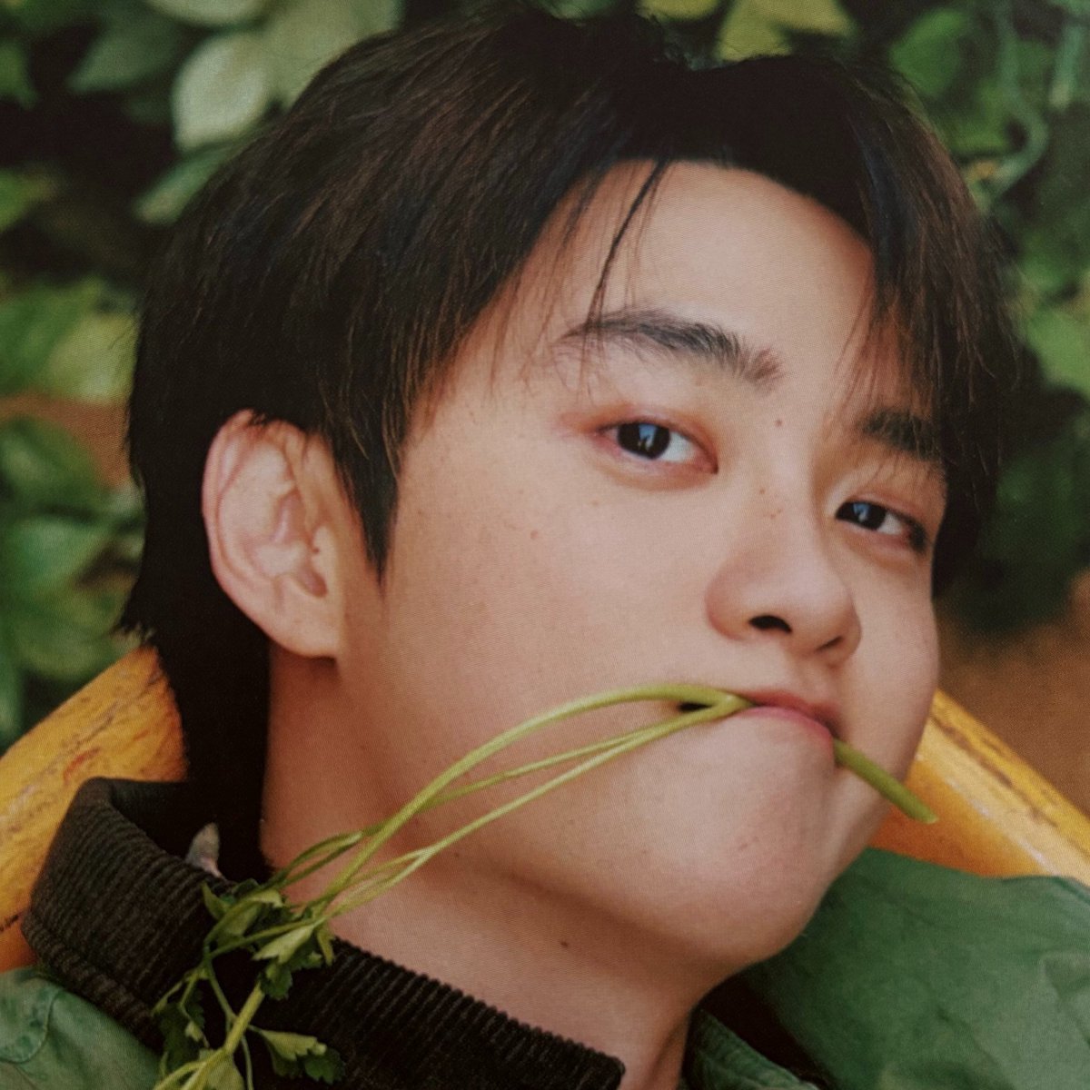 _IMBOWVYBD's tweet photo. รูปถูกจริตมาก ชอบความดื้อ ความซน น่ารักจะบ้าาา จริงๆคยองซูเซ็ทเมมเบอร์ชิพคือหล่อแตกแตนแดนคาวบอยมากๆ แต่น้องก็แอบบเผ็ชยะคะ แอบซ่อนลุคพ่อหนุ่มขี้เล่นแถมมาด้วย โคตรจะชอบบบบบบบบบบบ https://t.co/CkUkJVh8il