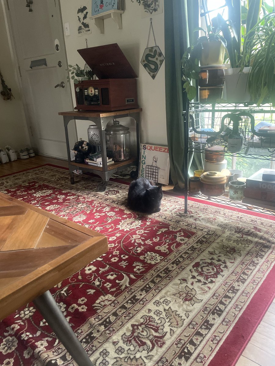 _parlorghost's tweet photo. big work day today then I see mama tomorrow 🥱 https://t.co/FYQLiHvIAa