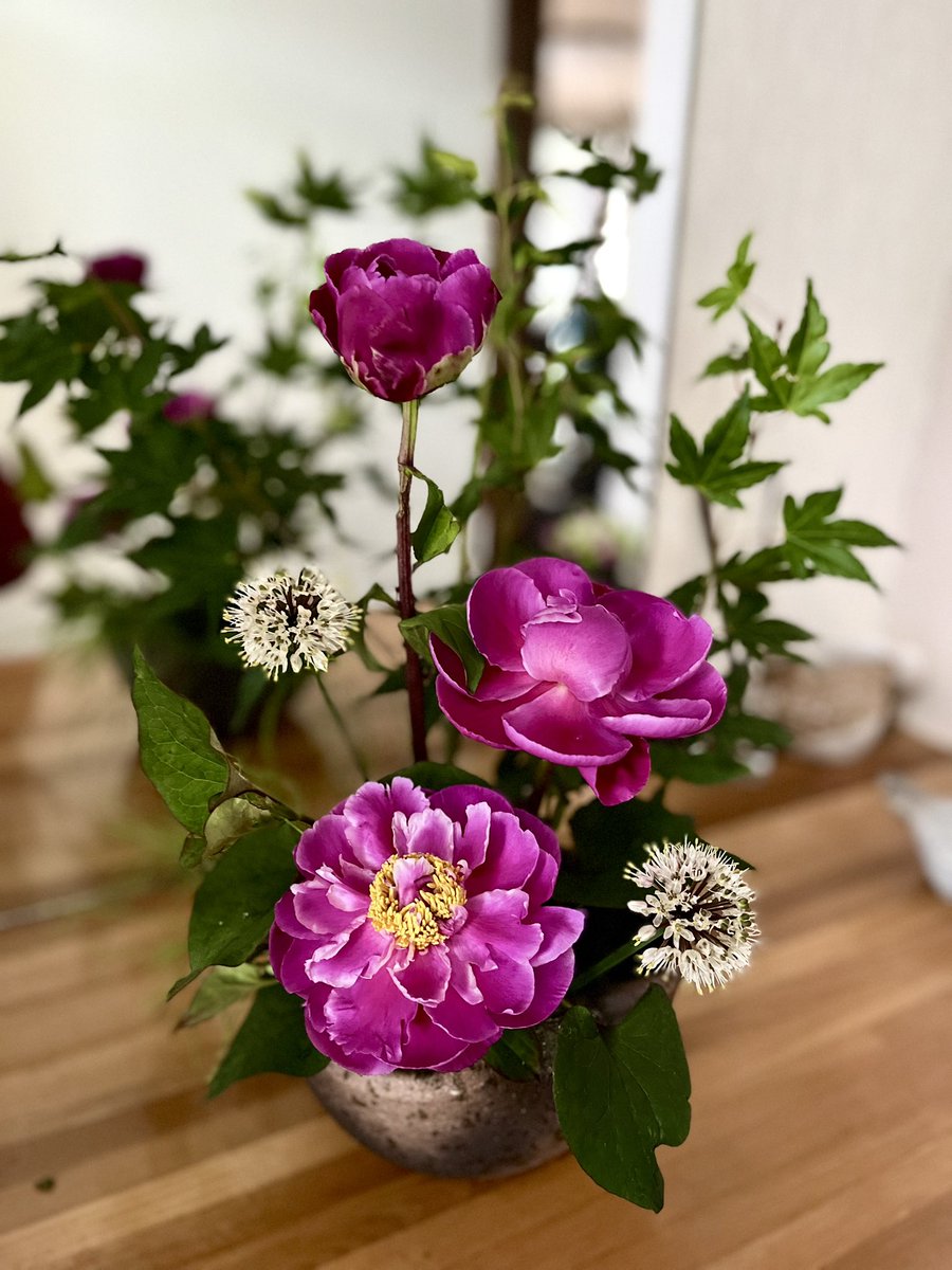 ranTRIPLEX's tweet photo. 今日生けたお花と
いつかのお散歩お絵描き https://t.co/CIlAFNcOUP
