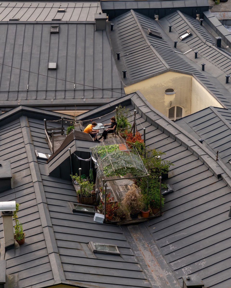 hutdesigns's tweet photo. Imagine having a private garden oasis tucked into the middle of city rooftops 🌿 https://t.co/dkifTWZ7Ct