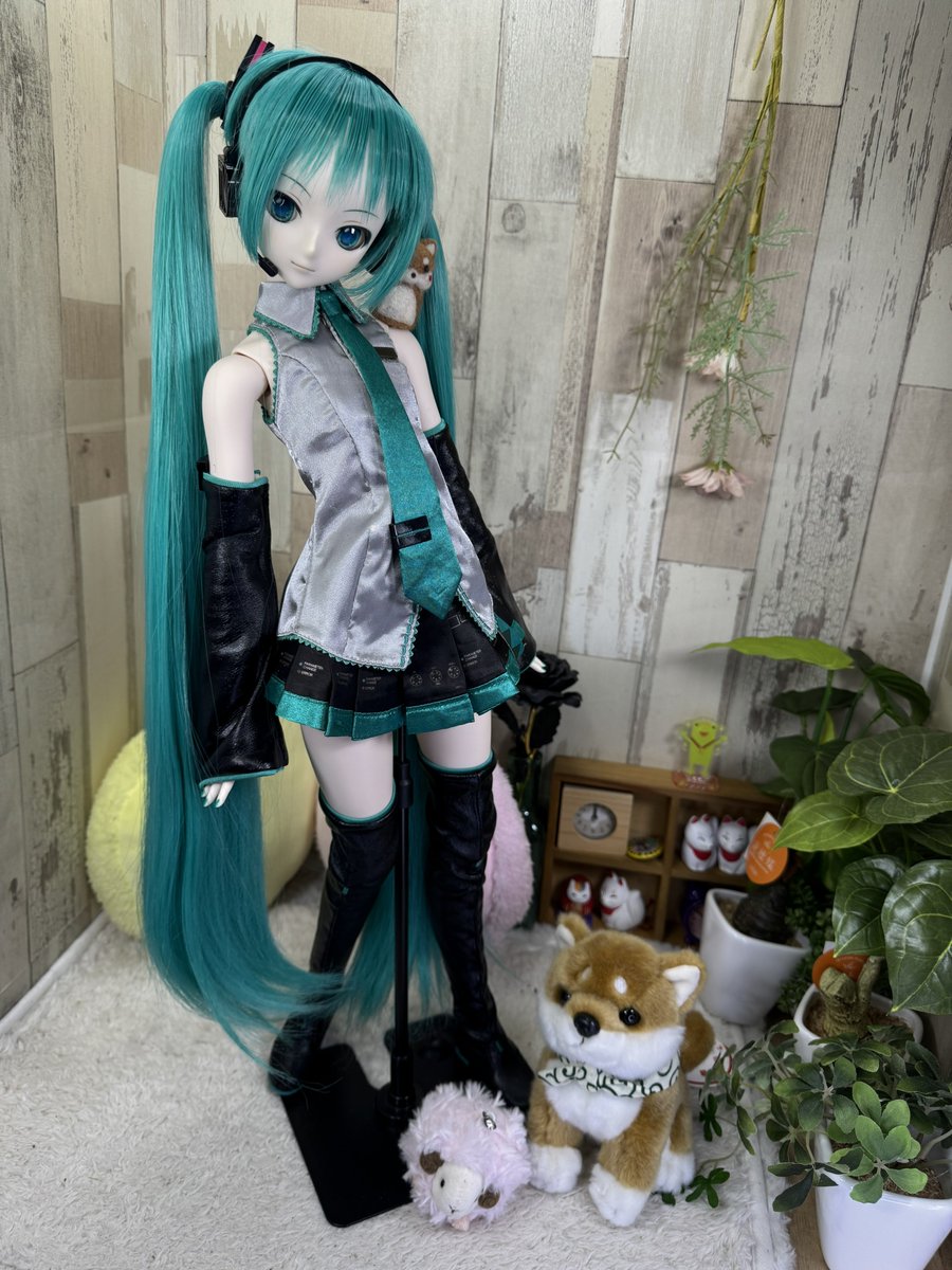 くまきち (@bearbeartyan) / Posts / X