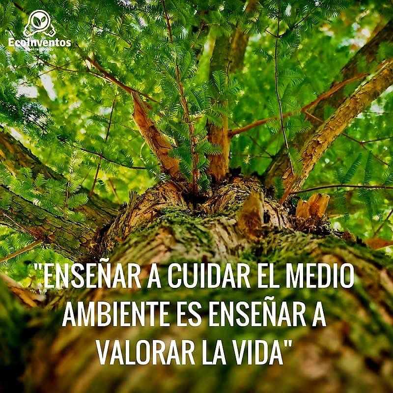 EdithAP_'s tweet photo. “Despertemos humanidad, despertemos. Ya no hay tiempo…”

#NoALaMinería
No a los proyectos de MUERTE.
#ElSalvador https://t.co/TIeHMp6soc
