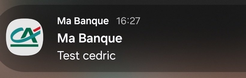 luca_senses's tweet photo. @CreditAgricole vous pouvez dire à Cedric que son test a marché ! https://t.co/rSktsO3kof