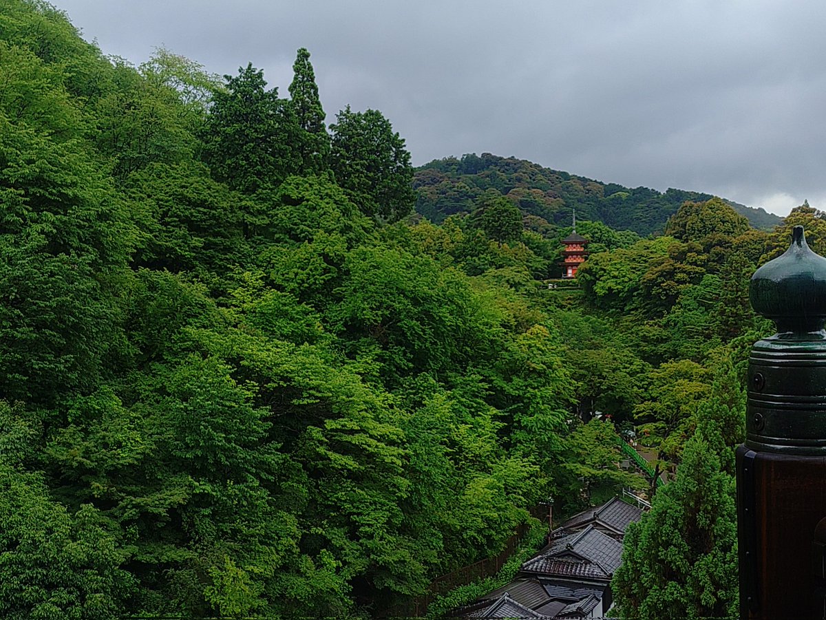 ApuriSaizou's tweet photo. 景色は素晴らしいですが、人が多すぎてゆっくり鑑賞できないのが。
あの木の造りであれだけの人を支えてるのは職人のワザマエ！ https://t.co/qvQ5E86shA