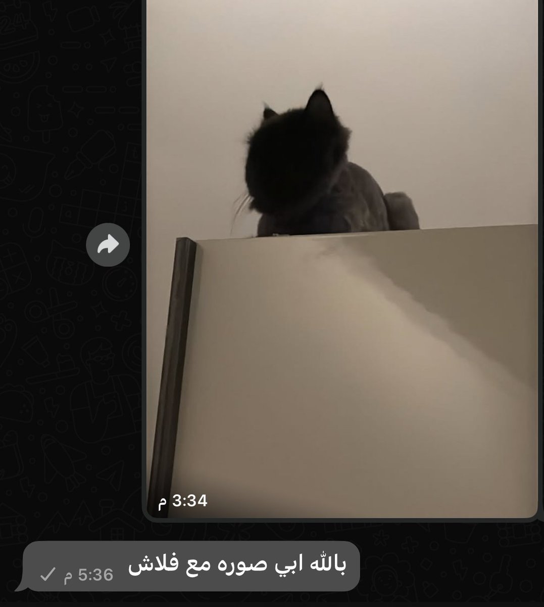 🐈⬛ Fᴀʏᴇᴛᴛᴇ tweet media